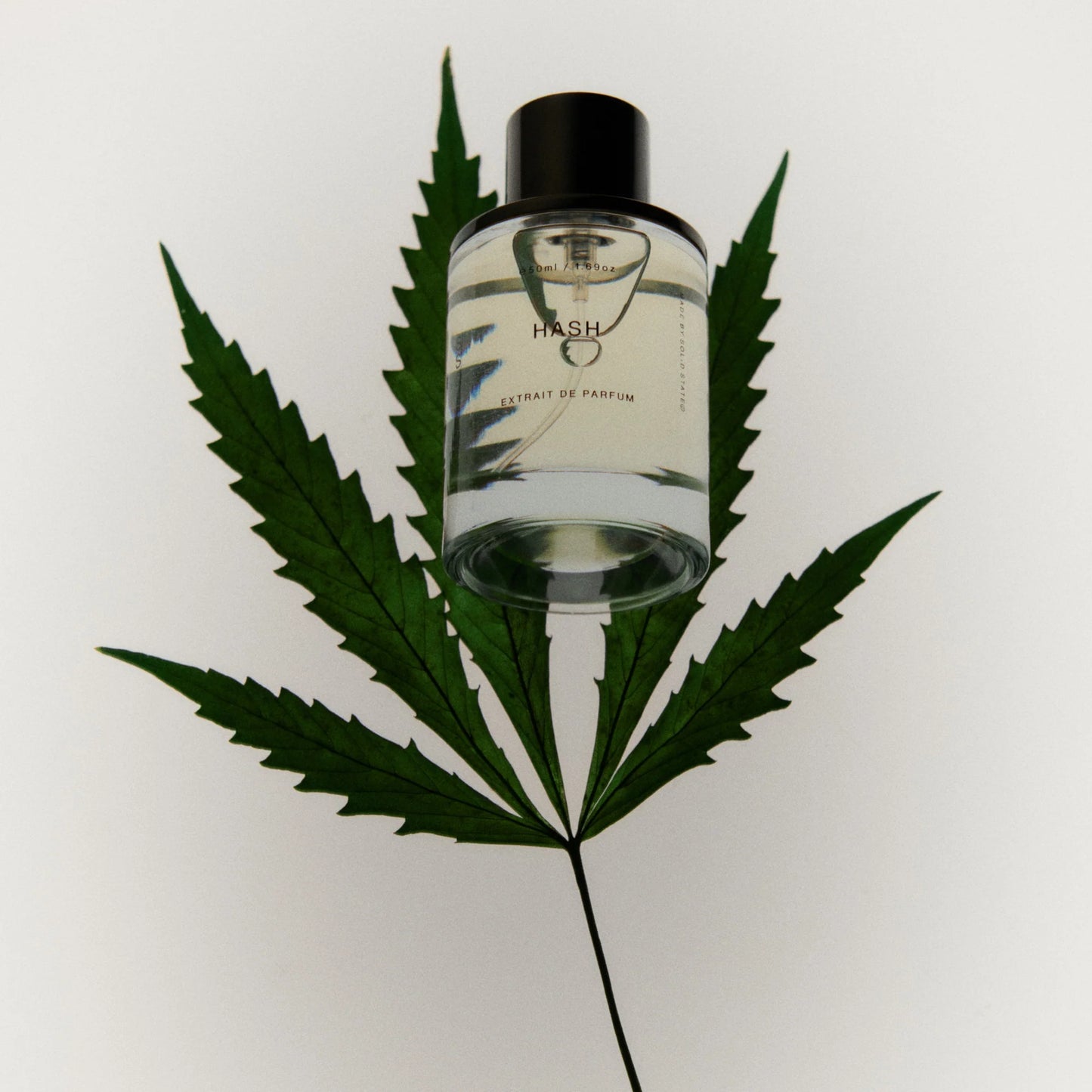 Hash Extrait de Parfum 50ml