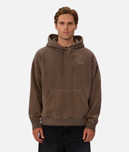 The New Del Sur Washed Hoodie - Mocha 25